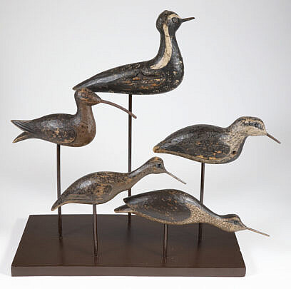 17-5543 Shorebird Collection B_IMG_7766