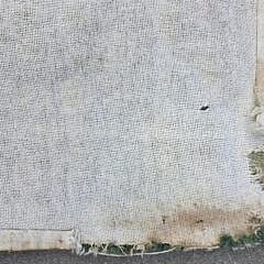 Claire Murray “Strawberries and Flowers” Hooked Scatter Rug