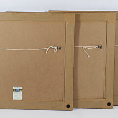 Set of Three Albertus Seba Cabinet of Natural Curiosities Limited Edition Lithograph Reprints