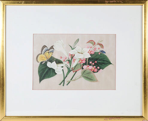 Chinese Watercolor Floral Still Life with Butterfly on Pith Paper 19th Century