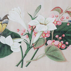 Chinese Watercolor on Pith Paper “Floral Still Life with Butterfly”, 19th Century