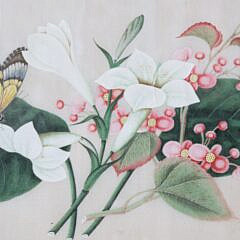 Chinese Watercolor on Pith Paper “Floral Still Life with Butterfly”, 19th Century