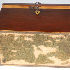 Tropical Wood Dome Top Double Compartment Tea Caddy with Line Inlay, 19th Century