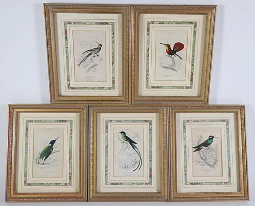 Collection of Six Lithographs From William Jardine