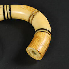 Antique Whale Ivory Carved Eagle Head Cane Handle, 19th Century