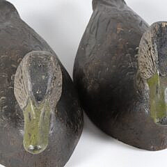 Pair of Frank Schmidt Carved Black Duck Decoys