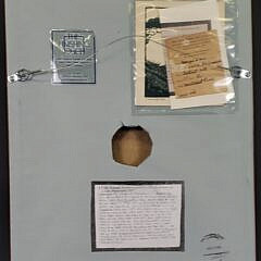 George Lear Oil on Canvas “Nantucket Pine”, Painting