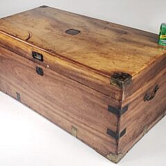 4213-955 Camphorwood Trunk A