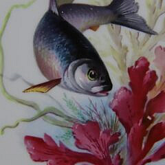 Set of Six Fine Mintons Hand Painted Bone China Fish Plates, 19th Century