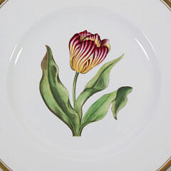 Set of Six Royal Worcester Botanical Plates