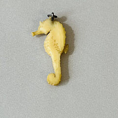 Signed Charlie Sayle Sr. Carved Sperm Whale Pin and Seahorse Pendant, circa 1952