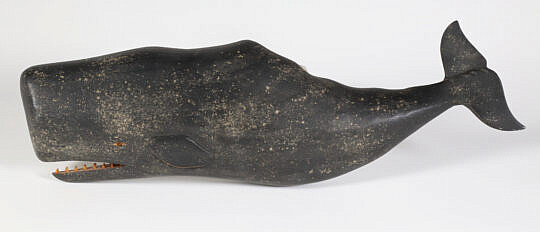1-5546 Clark Voorhees Sperm Whale A 9728 JPG