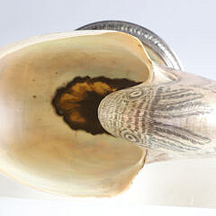 Finely Engraved Nautilus Shell on Sterling Silver Pedestal Base, circa 1850