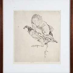Elizabeth Tuttle Engraving "Grouse"