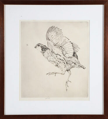 Elizabeth Tuttle Engraving "Grouse"