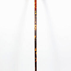 Continental Gold and Soapstone Walking Stick, 19th Century