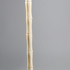 109-6 Whale Grip Cane A_IMG_8286