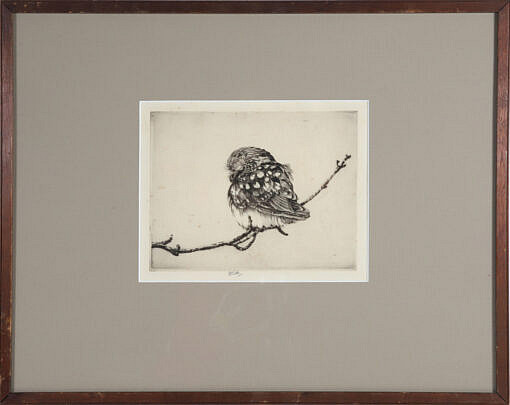 Elizabeth Tuttle Engraving "Bird On A Branch"