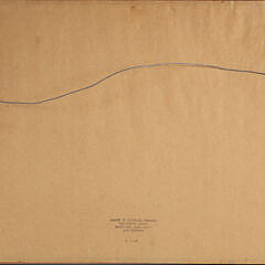 Elizabeth Tuttle Engraving “Bird On A Branch”