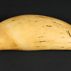 113-5470 Tambua Fijian Society Whale Tooth A_IMG_9169