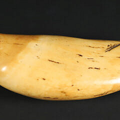 Tambua Ceremonial Fijian Society, Polished Sperm Whale Tooth, early 19th Century