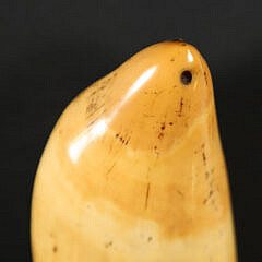 Tambua Ceremonial Fijian Society, Polished Sperm Whale Tooth, early 19th Century