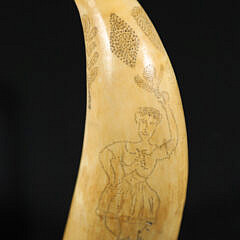 114-5470 Stippler Tooth Female Dancer A_IMG_9194