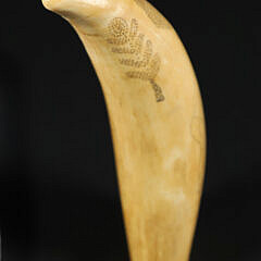 Stippled Sperm Whale Tooth, circa 1870