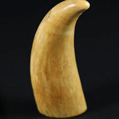 Stippled Sperm Whale Tooth, circa 1870