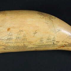 117-5470 Scrimshaw Tooth American Bark A_IMG_9188