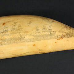 American Scrimshaw Sperm Whale Tooth, 19th Century