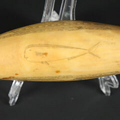 American Scrimshaw Sperm Whale Tooth, 19th Century