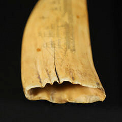 American Scrimshaw Sperm Whale Tooth, 19th Century