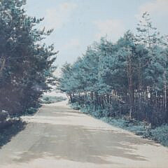 Pair of  H. Marshall Gardiner Photographs “Wauwinet Pines” and “The Hidden Forest, Nantucket”