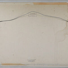 Mary Gary Watercolor On Paper “White Anemone”