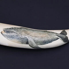 Robert Spring Scrimshaw Whale Tooth With Polychrome Right Whale Engraving
