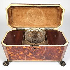 Fine English Regency Antique Tortoiseshell Tea Caddy, 19th Century