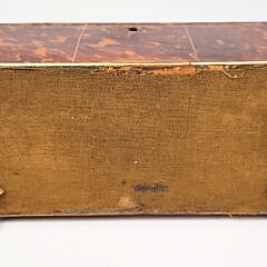 Fine English Regency Antique Tortoiseshell Tea Caddy, 19th Century