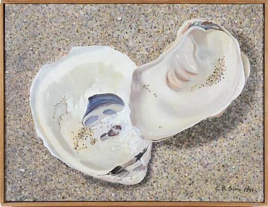Carol Sims Acrylic On Canvas "Two Oyster Shells"