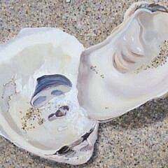 Carol Sims Acrylic On Canvas “Two Oyster Shells”