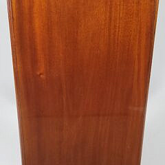 Antique English Regency Mahogany Server