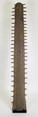 1510-1865 Sawfish Bill A