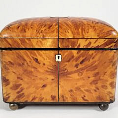English Regency Antique Tortoiseshell Tea Caddy, 19th Century