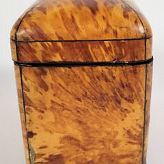 English Regency Antique Tortoiseshell Tea Caddy, 19th Century
