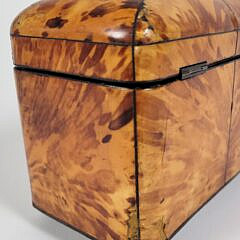 English Regency Antique Tortoiseshell Tea Caddy, 19th Century