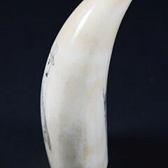 Scrimshaw Polychromed Whale Tooth “Seven-Star Flag”, 19th Century