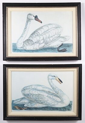 Pair Of Chelsea House Swan Prints
