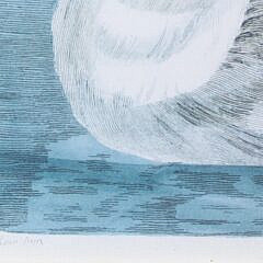 Pair Of Chelsea House Swan Prints