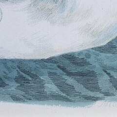 Pair Of Chelsea House Swan Prints