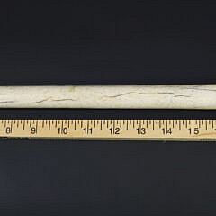 Exceptionally Rare Scrimshaw Night Stick, circa 1850